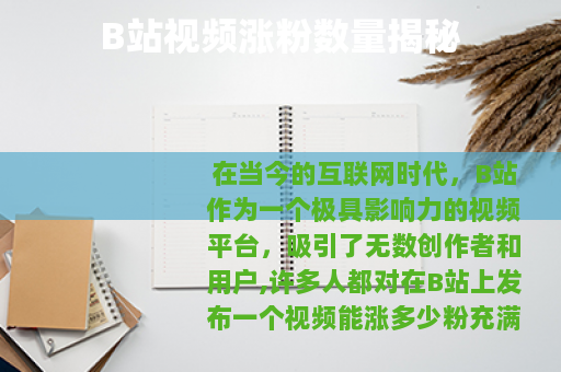 B站视频涨粉数量揭秘