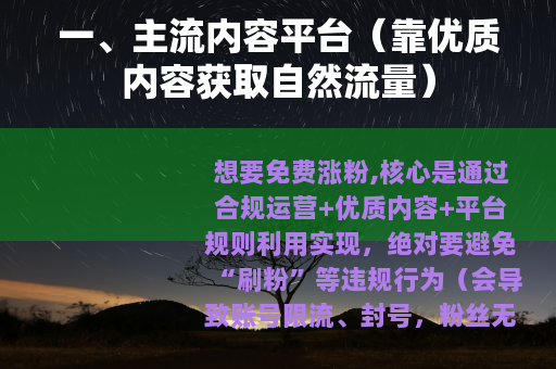 一、主流内容平台（靠优质内容获取自然流量）