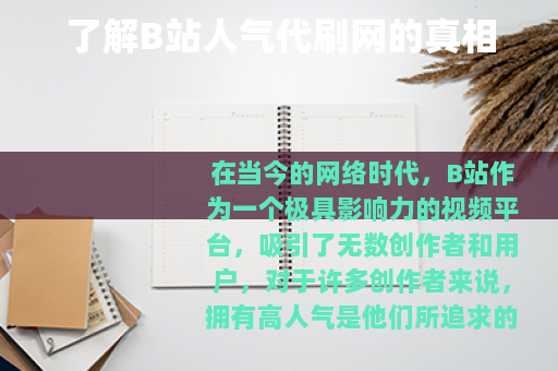 了解B站人气代刷网的真相