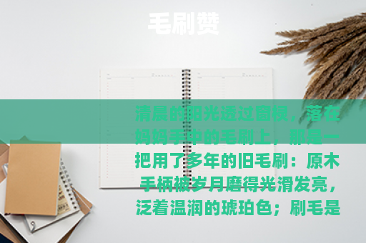 毛刷赞