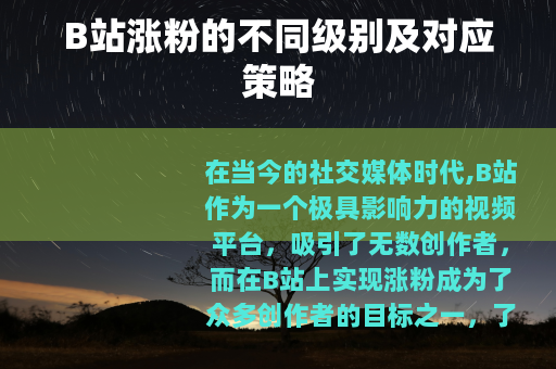 B站涨粉的不同级别及对应策略