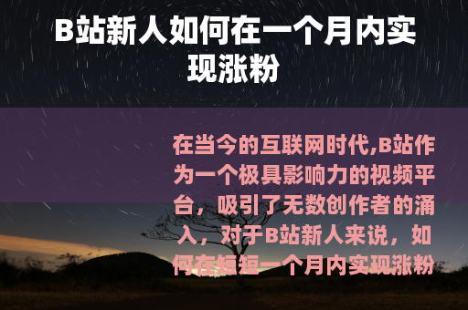 B站新人如何在一个月内实现涨粉