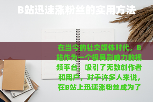 B站迅速涨粉丝的实用方法
