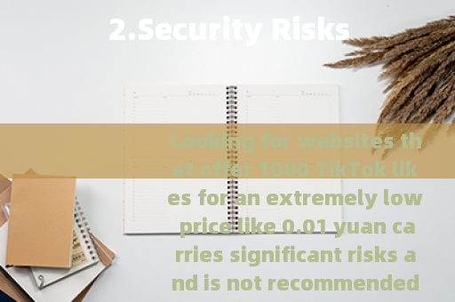 2.Security Risks