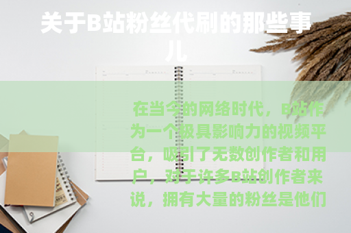 关于B站粉丝代刷的那些事儿