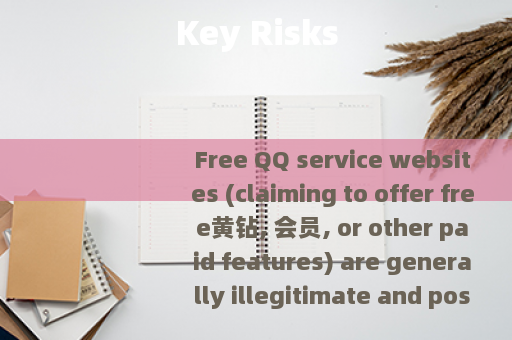 Key Risks