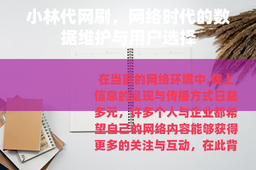 小林代网刷，网络时代的数据维护与用户选择