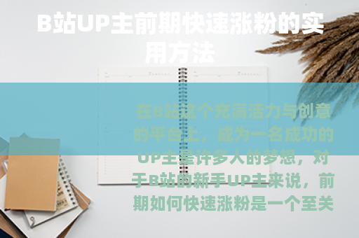 B站UP主前期快速涨粉的实用方法