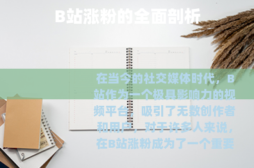 B站涨粉的全面剖析