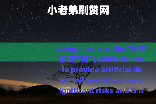 小老弟刷赞网