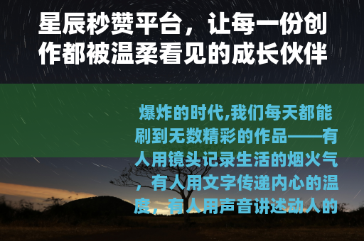 星辰秒赞平台，让每一份创作都被温柔看见的成长伙伴