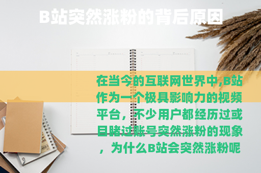 B站突然涨粉的背后原因