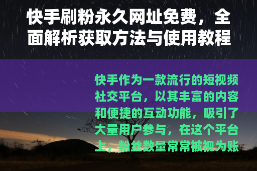 快手刷粉永久网址免费，全面解析获取方法与使用教程