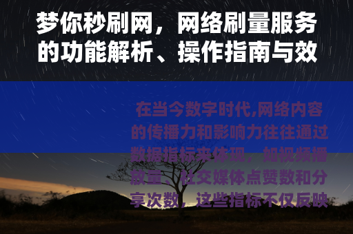 梦你秒刷网，网络刷量服务的功能解析、操作指南与效果评估
