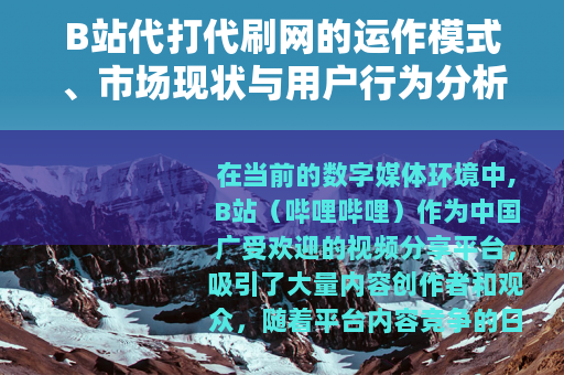 B站代打代刷网的运作模式、市场现状与用户行为分析