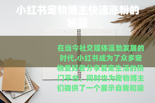 小红书宠物博主快速涨粉的秘籍