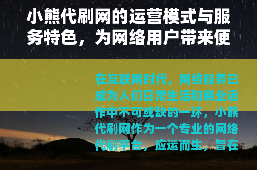 小熊代刷网的运营模式与服务特色，为网络用户带来便利与高效支持