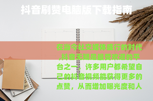 抖音刷赞电脑版下载指南