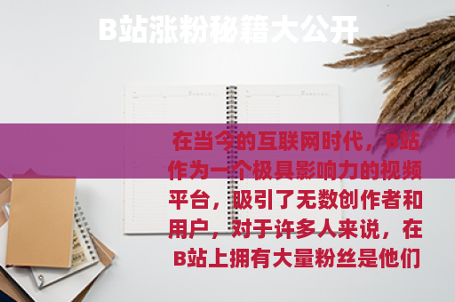 B站涨粉秘籍大公开