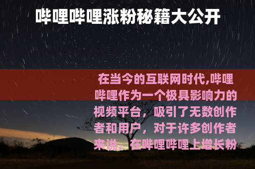哔哩哔哩涨粉秘籍大公开