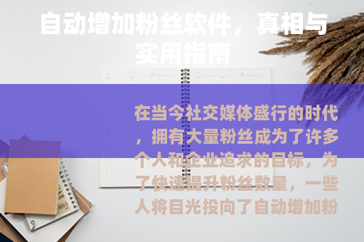 自动增加粉丝软件，真相与实用指南