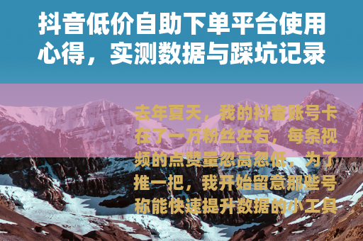 抖音低价自助下单平台使用心得，实测数据与踩坑记录