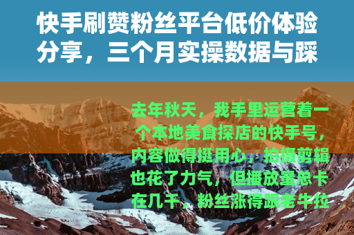快手刷赞粉丝平台低价体验分享，三个月实操数据与踩坑记录