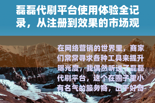 磊磊代刷平台使用体验全记录，从注册到效果的市场观察