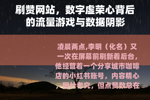 刷赞网站，数字虚荣心背后的流量游戏与数据阴影