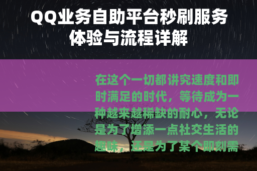 QQ业务自助平台秒刷服务体验与流程详解