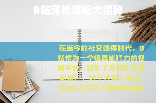 B站涨粉攻略大揭秘