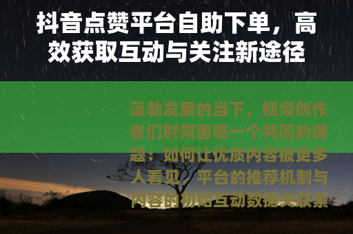抖音点赞平台自助下单，高效获取互动与关注新途径