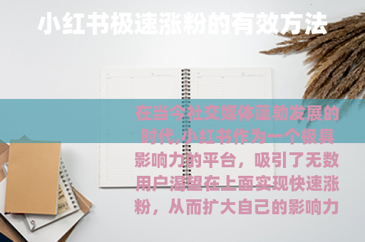 小红书极速涨粉的有效方法 小红书极速涨粉的有效方法