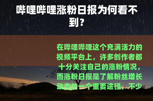 哔哩哔哩涨粉日报为何看不到？