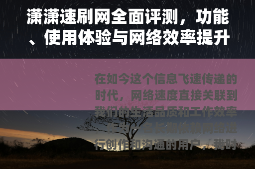 潇潇速刷网全面评测，功能、使用体验与网络效率提升指南
