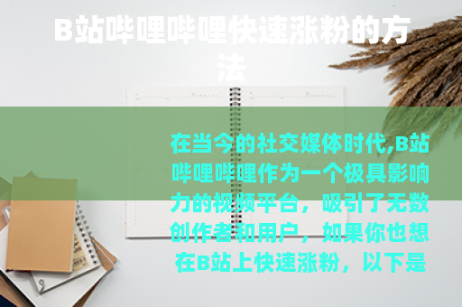B站哔哩哔哩快速涨粉的方法