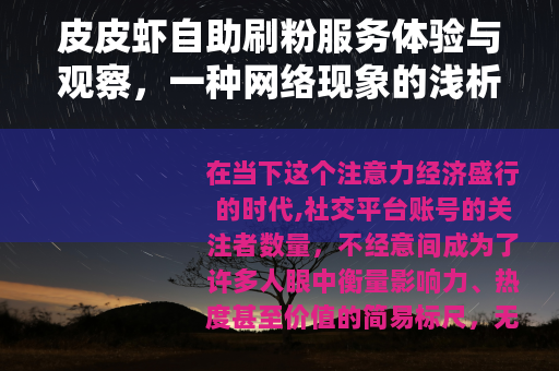 皮皮虾自助刷粉服务体验与观察，一种网络现象的浅析