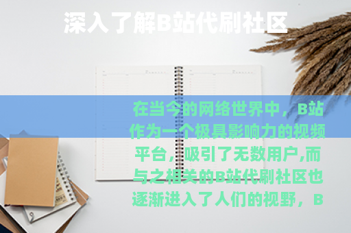 深入了解B站代刷社区