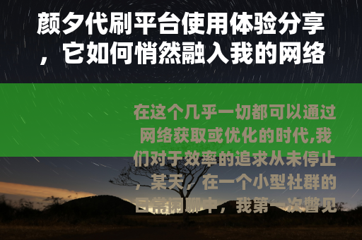 颜夕代刷平台使用体验分享，它如何悄然融入我的网络生活