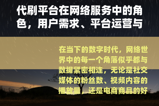 代刷平台在网络服务中的角色，用户需求、平台运营与行业展望