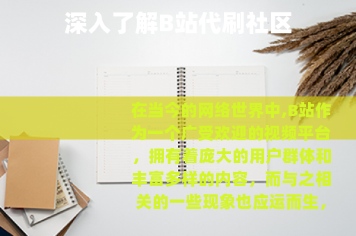 深入了解B站代刷社区