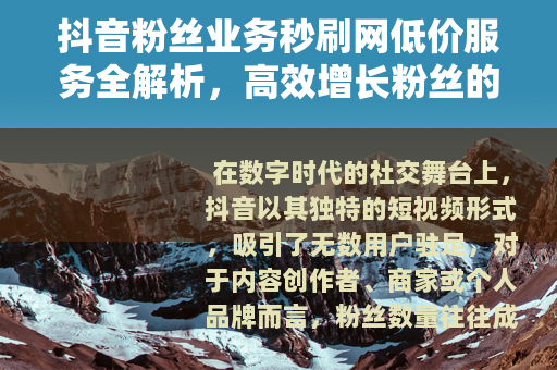 抖音粉丝业务秒刷网低价服务全解析，高效增长粉丝的策略分享