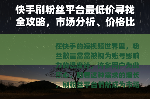 快手刷粉丝平台最低价寻找全攻略，市场分析、价格比较与选择建议