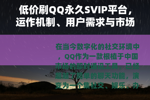 低价刷QQ永久SVIP平台，运作机制、用户需求与市场观察