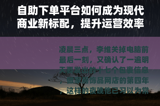 自助下单平台如何成为现代商业新标配，提升运营效率的实用指南