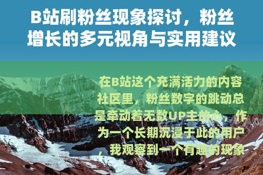 B站刷粉丝现象探讨,粉丝增长的多元视角与实用建议 B站刷粉丝现象探讨,粉丝增长的多元视角与实用建议
