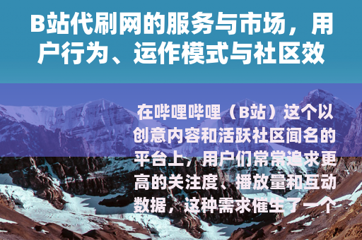 B站代刷网的服务与市场，用户行为、运作模式与社区效应分析