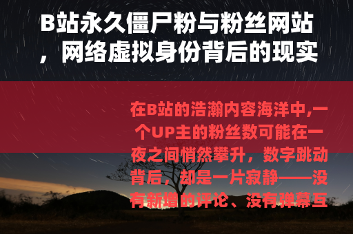 B站永久僵尸粉与粉丝网站，网络虚拟身份背后的现实考量