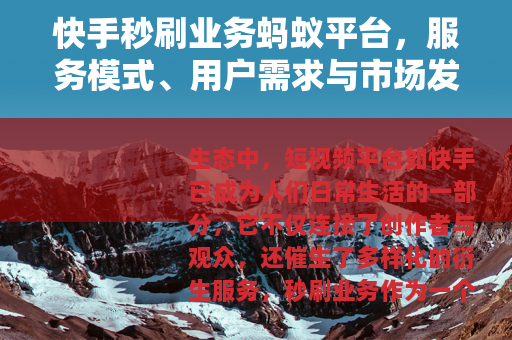 快手秒刷业务蚂蚁平台，服务模式、用户需求与市场发展分析