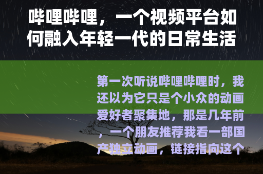 哔哩哔哩，一个视频平台如何融入年轻一代的日常生活与文化表达